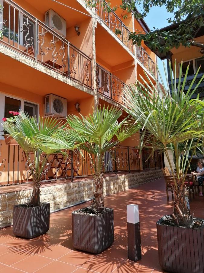 Vila Floarea Etiquette كوستِنيست المظهر الخارجي الصورة