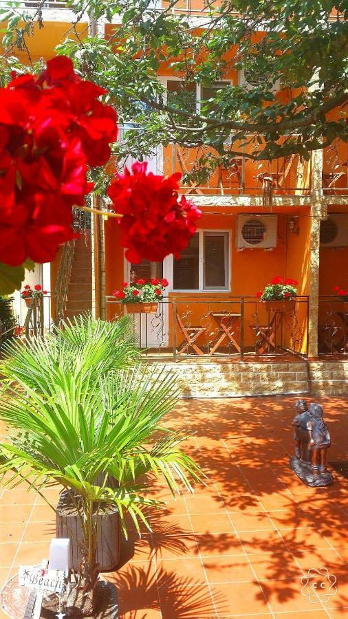 Vila Floarea Etiquette كوستِنيست المظهر الخارجي الصورة