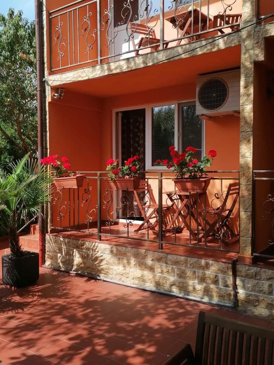 Vila Floarea Etiquette كوستِنيست المظهر الخارجي الصورة